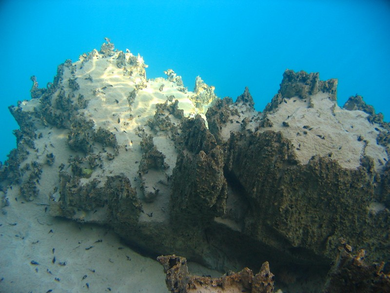 Bilder aus dem Barracuda Lake